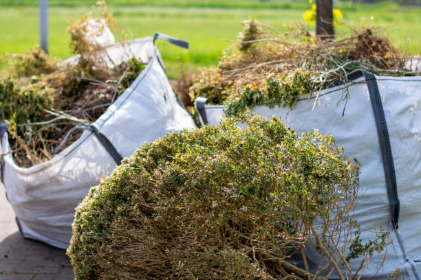 Best Demolition Debris Removal  in Pemberwick, CT